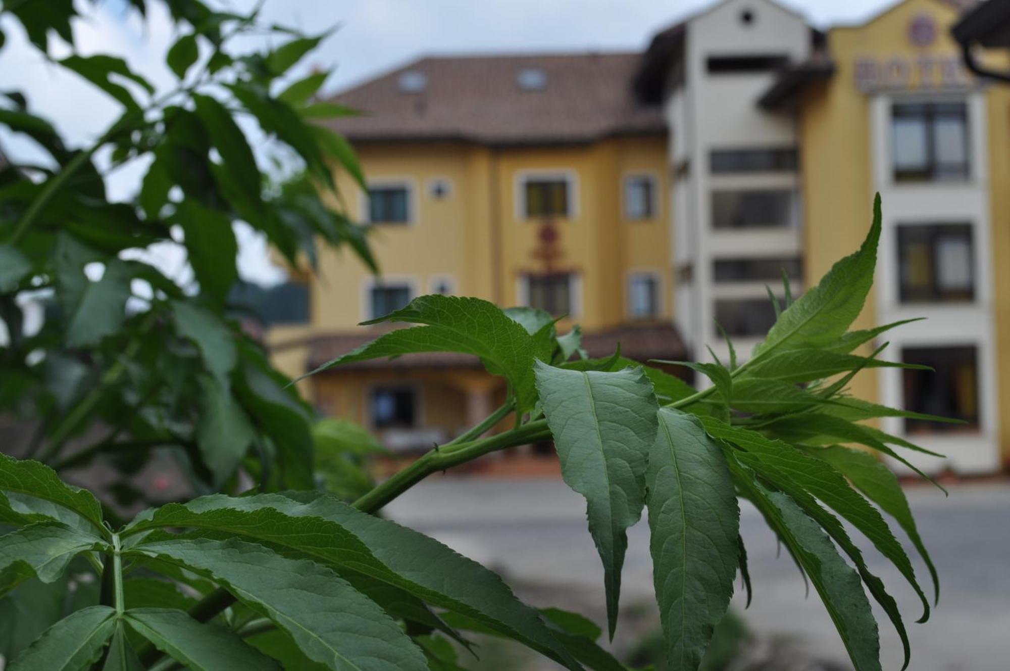 Hotel Duca Di Calabria Serra San Bruno Exteriör bild